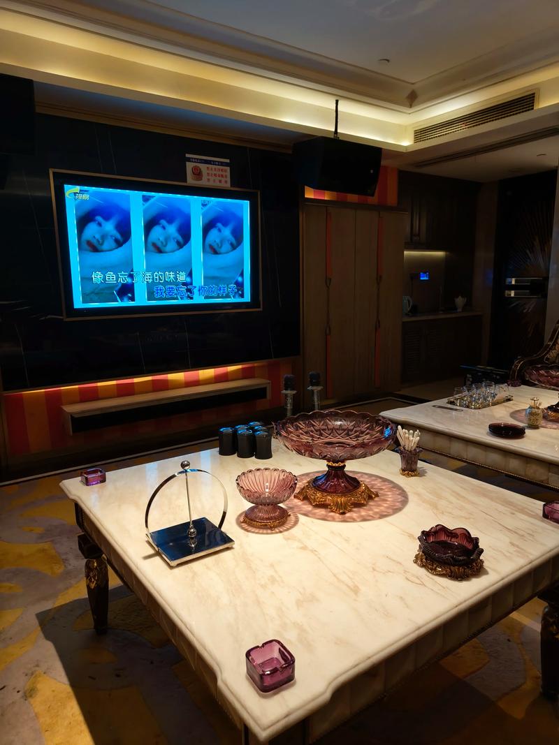 徐州商务ktv畅享多样商务ktv玩法-睢宁县ktv预定